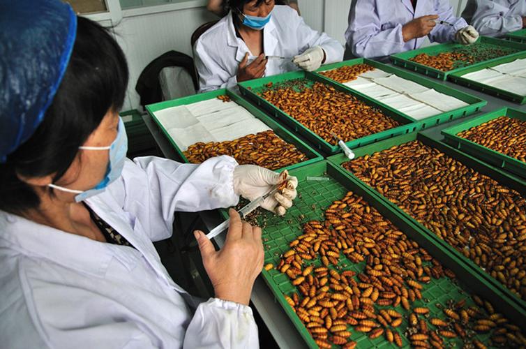 秉承着科技引领,创新驱动,文化融合,产业提升的企业宗旨,在注重产品